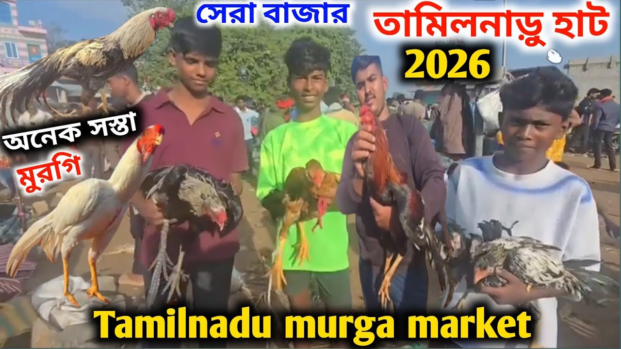 তামিলনাড়ু হাট || তামিলনাড়ু হাটে অনেক সস্তা মুরগি|| Tamilnadu murga market 2026