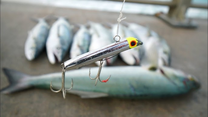 Got-Cha Fishing Lure Review: Is This The Best Plug For Pier Fishing? 