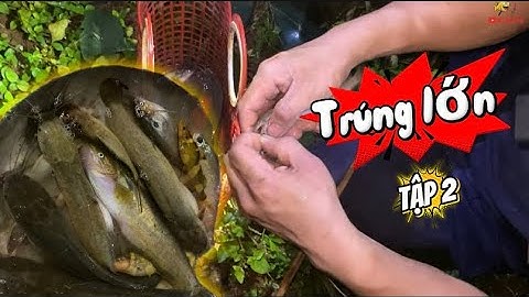 ĐI THĂM CÂU ĐÊM – CẦN NÀO NHẤC LÊN CŨNG DÍNH CÁ 🤯 GỠ LIỀN TAY KHÔNG KỊP NGHỈ!