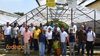 Así Se Prepara El Cacao Dominicano Para Llegar Al Mercado Europeo