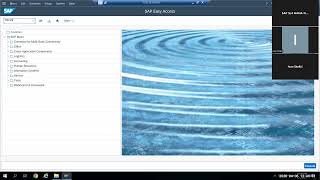 Error rectification in AR Business Partner-BP creation,FB70,F-28,FB75  SAP S/4 HANA