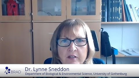 BRAD Ask an Expert: Zebrafish Enrichment, Dr Lynne Sneddon