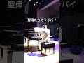 聖母たちのララバイ いい曲だよねー! #ピアノ #piano #singer