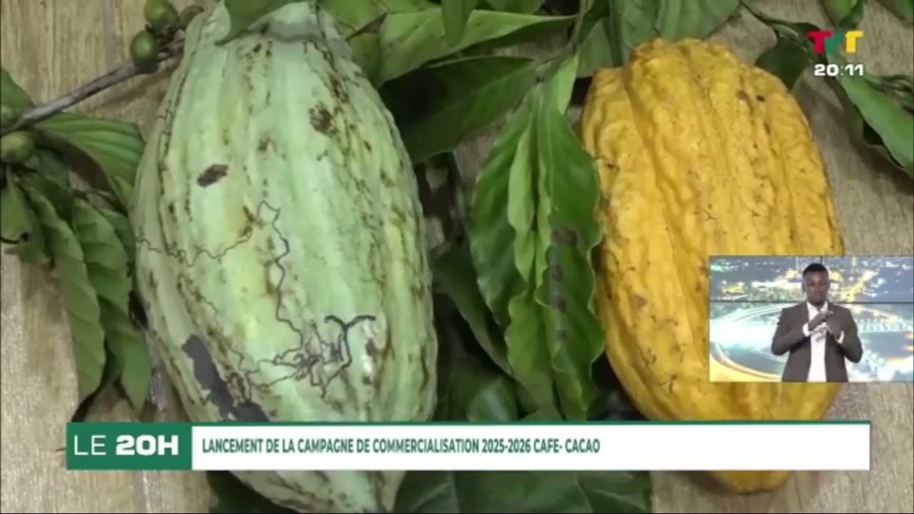 Lancement campagne Café Cacao 2025-2026