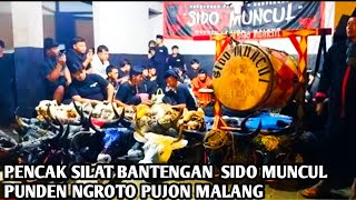  Pencak Siilat Bantengan Sido Muncul Punden Ngroto Pujon Malang