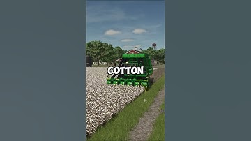 WHICH CROP MAKES THE MOST MONEY IN FARMING SIMULATOR 25!!!