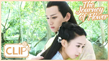 He swore an oath to protect the girl till he dies💕The Journey of Flower |花千骨| Clip 13