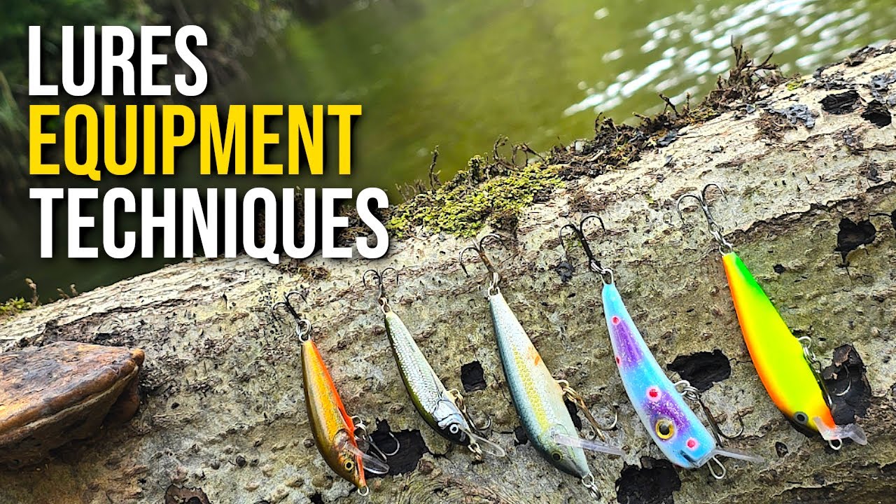 Как приманить ручьевую форель [ПОЛНОЕ РУКОВОДСТВО ДЛЯ НАЧИНАЮЩИХ]