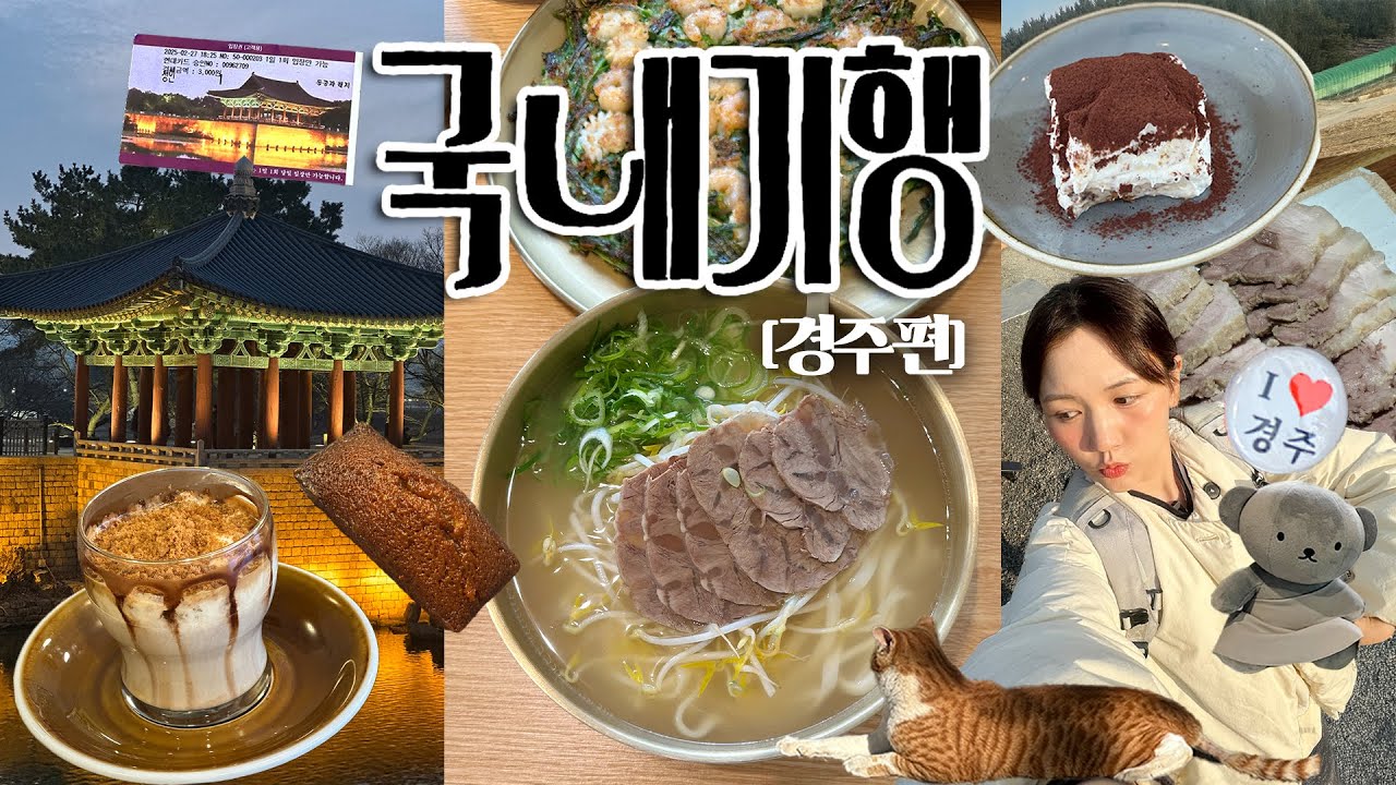 [국내기행] 여행폭주기니의 경주 혼여 VLOG | 자쿠지숙소,미피하우스,다과와,향미사,임자칼국수,최영화빵,가배향주,갑분택시투어(?)