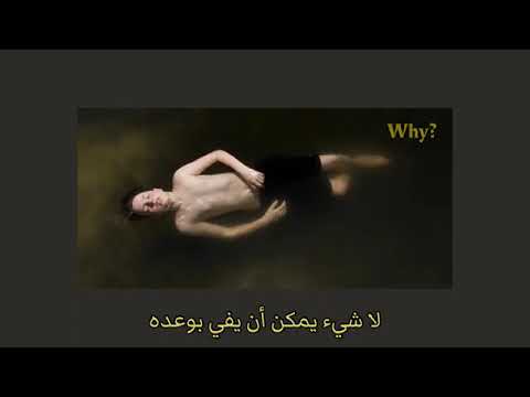 Transgender مترجمه