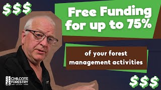 Free Funding for Your Forest Management Plan Activities | #forestmanagement #forester #landowner
