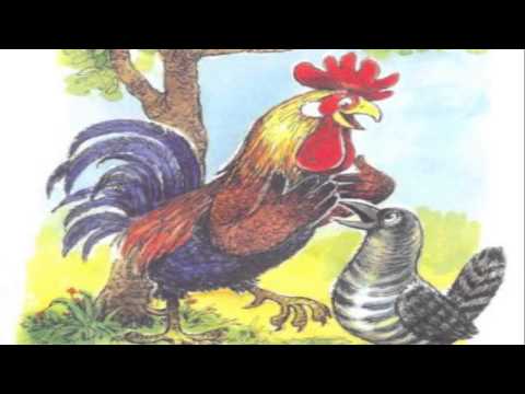 Кукушка и петух Басня Кукушка и петух Петух и кукушка Крылов Басни дедушки Крылова Кукушка и петух Басня Кукушка и петух Петух и кукушка Крылов Басни дедушки Крылова