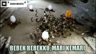 Lagu 'Bebek-bebekku' karya Vien Is Haryanto