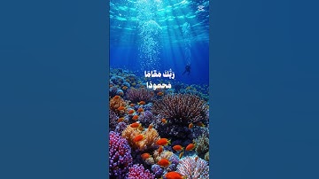 آيات من الذكر الحكيم بصوت خاشع🤲😔