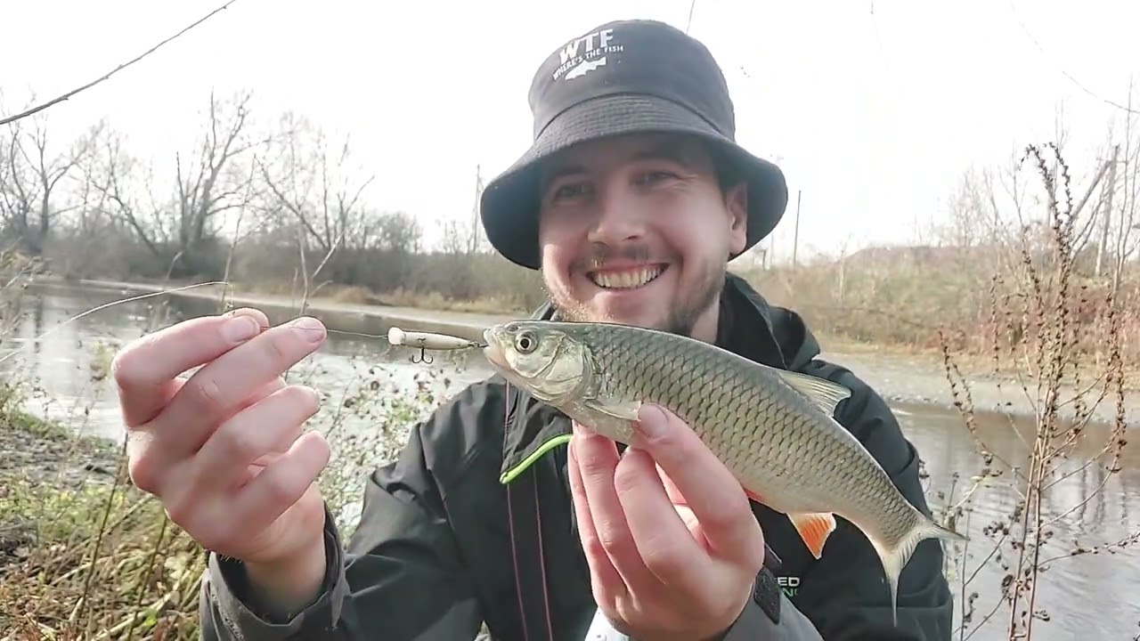 р.Гнила Липа. Пізня осінь. Мормишинг.Наноджиг.105 риб