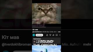 I found the original! | #shorts #cat #meme #idk #peak #tuff #fyp #pleasegoviral