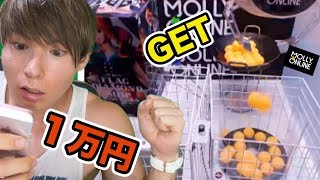 1万円でクレーンゲーム景品何個GET出来るか？【モーリーファンタジー☆Mollyfantasy★】　PDS
