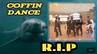 you know i'll go get coffin dance funny compilation