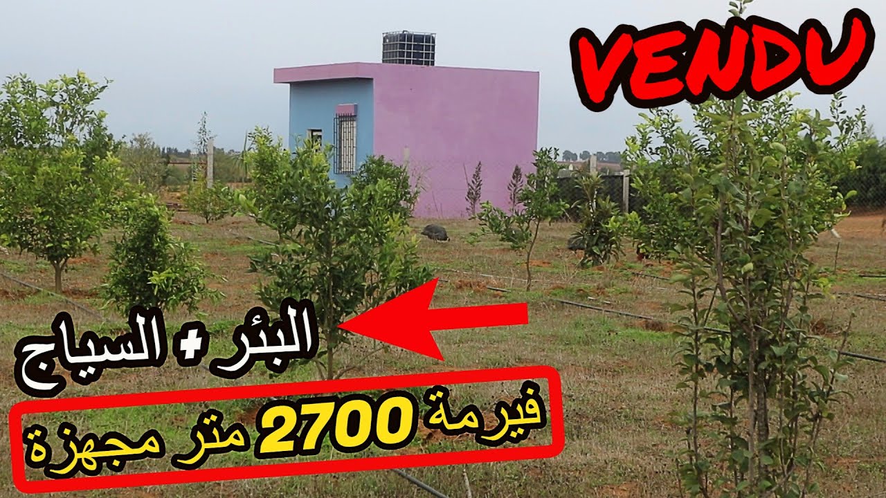 ✨فيرمة صغيرة من 2700 متر مجهزة بالسياج والبئر  ✨ تيفلت