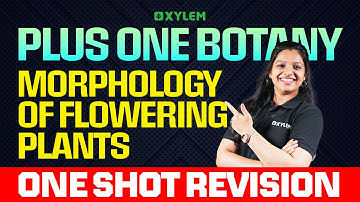 Plus One Botany | Morphology of Flowering Plants | One Shot Revision | Xylem Plus One