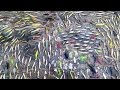 Recycled Fishing Lure Challenge! Crankbaits, Swimbaits, Chatterbaits and MORE! (400+ LURES!!)
