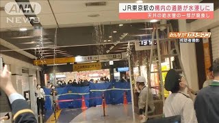 東京駅が水浸し　天井裏から漏水で客も駅員も大わらわ(2022年3月18日)