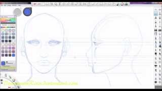 Head reference drawing