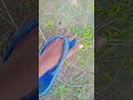 hello guys please help me please support me please one subscribe