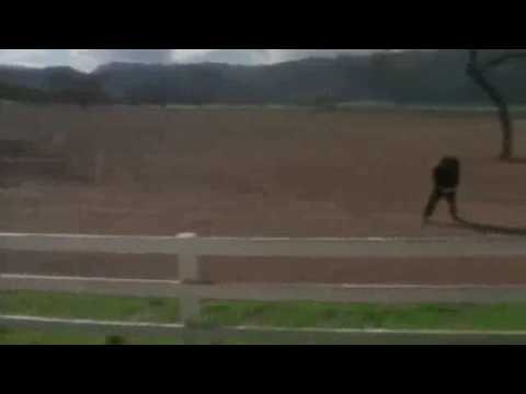 "Weird Al" Yankovic - Amish Paradise Official Music Video