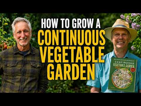 How to Keep Your Vegetable Garden Producing Month After Month