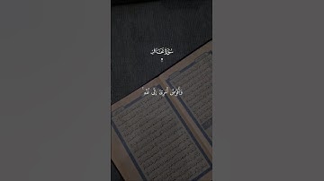 وَأُفَوِّضُ أَمۡرِیۤ إِلَى ٱللَّهِۚ || سورة غافر [44]#قران_كريم #quran #قرآن #الله
