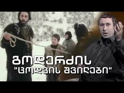 ქართული დოკუმენტალისტიკა - გოდერძის „ცოდვის შვილები“