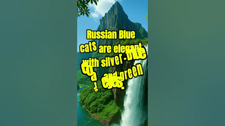 Watch the video about Which cat breed is known as the russian aristocrat ? #triviatricks #quiz #animalquiz