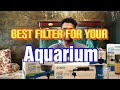 Which Aquarium Filter is Best / Sponge Filter / Hang on Filter / Internal Filter / Top Filter / Best