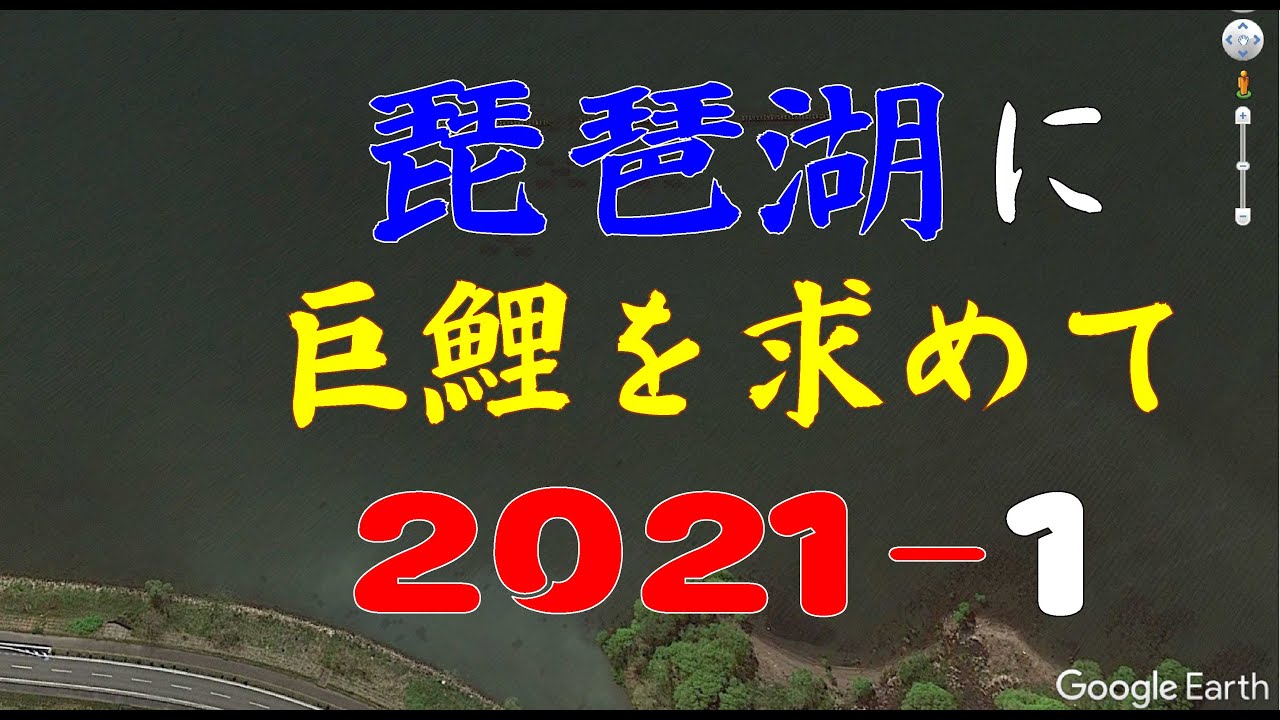 琵琶湖に巨鯉を求めて2021 1