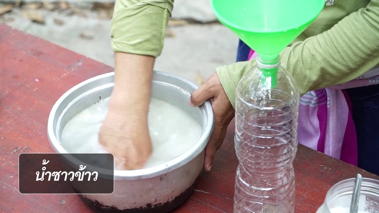 สูตรเปลี่ยนโลก : จุลินทรีย์น้ำซาวข้าว