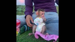 Wow !! Mom Sews New Clothes For Baby Monkey LUNA