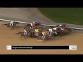 16 /12/21 - Race 7 - The Longines Record