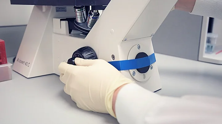 Research in Focus: Genomics with Dr. Judy Wong, UB...