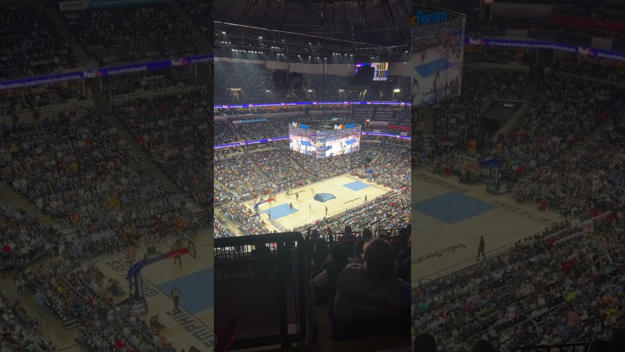 Go Grizzlies! Beat the Pelicans! 🏀 