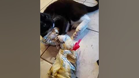 MR. WHISKERS FAVORITE CATNIP BLANKET