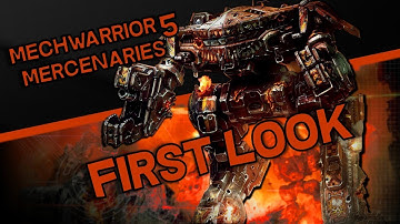 Mechwarrior 5 Mercenaries --  First Look