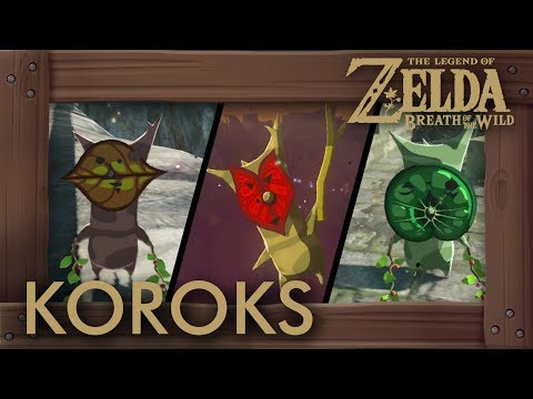 Hyrule Castle Korok Seeds