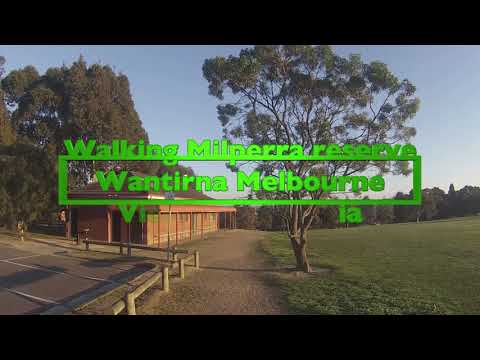 Walking Milperra Reserve, Wantirna, Melbourne, Victoria, Australia