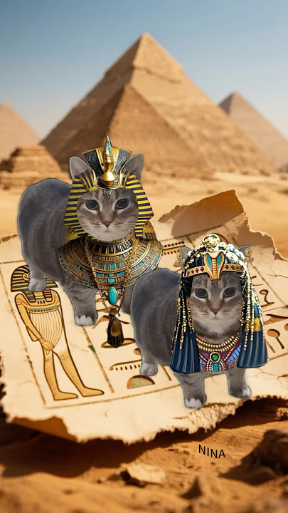 OllA cat x Egyptian Trend Animation😼 #cat #egypttrend #oiiaoiia #memes #trending #uia #fypシ゚viral
