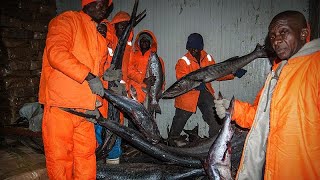 UN Oceans conference tackles marine sustainability challenges in developing countries