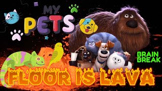 PETS: FLOOR IS LAVA BRAIN BREAK!  Movement activity, Just Dance for fun, Superpets