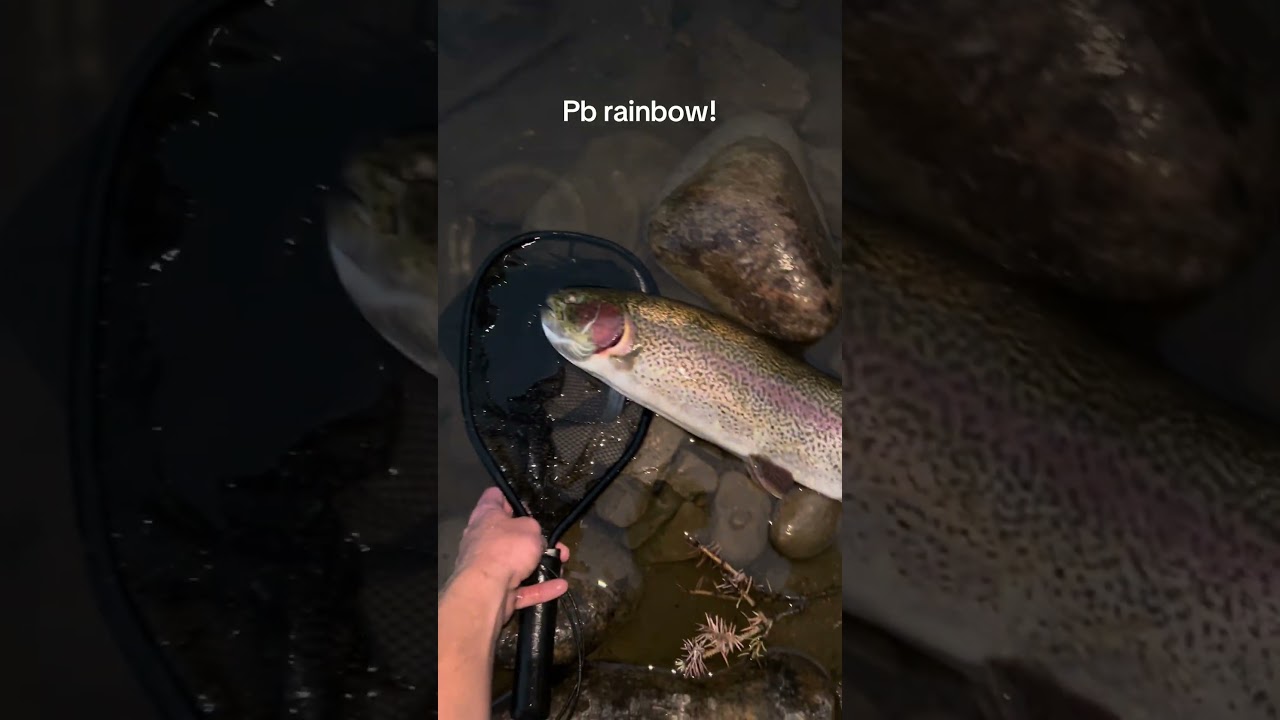 New personal best rainbow trout! 