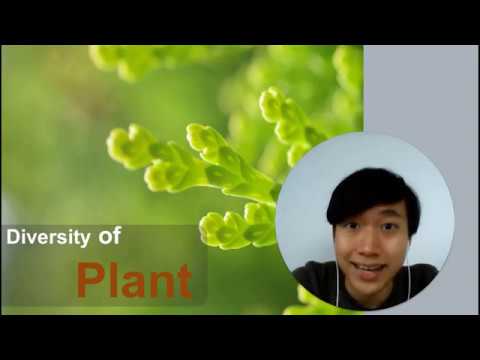 Diversity of plant  part 1