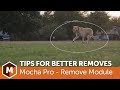 Mocha pro tips for faster better object removals